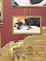 Scrapbooking